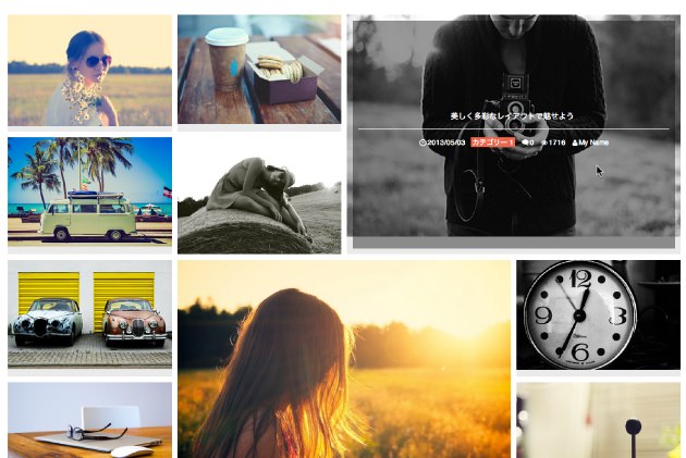 portfolio